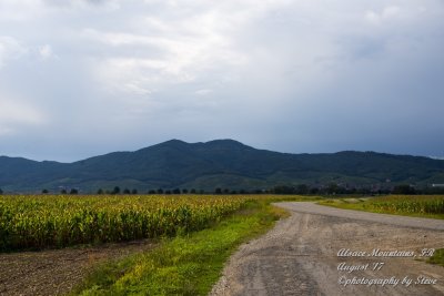 DSC_0407A.jpg