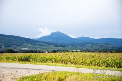 DSC_0409A.jpg