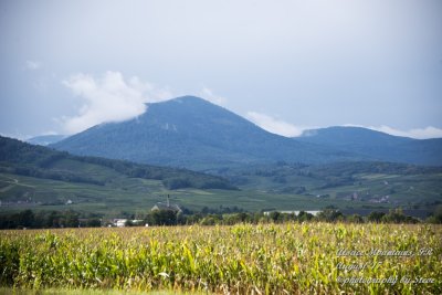 DSC_0410A.jpg