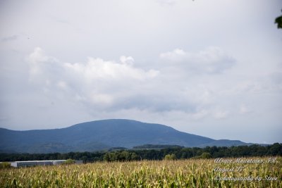 DSC_0412A.jpg