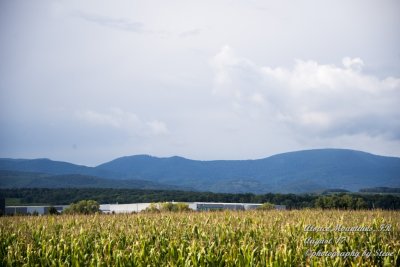 DSC_0413A.jpg