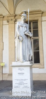 DSC_2242A.jpg