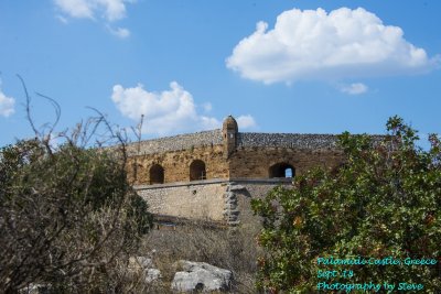 DSC_4224A.jpg