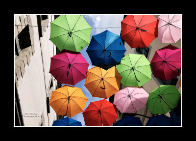 Umbrella street 9