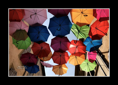 Umbrella street 15