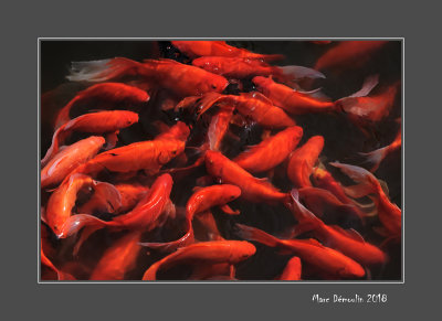 Chinese fishes