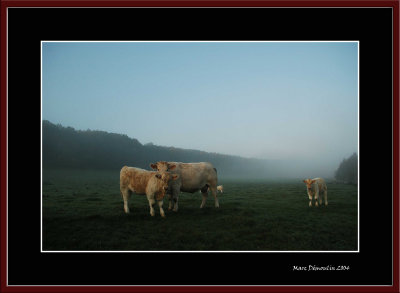 In the Charentonne river's valley