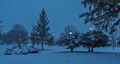 Late Winter Snow At Dawn P1190032-4