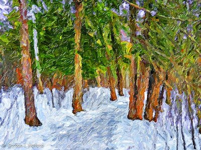 Jack Pine Trail In Winter DSCN03663-5 'Art'