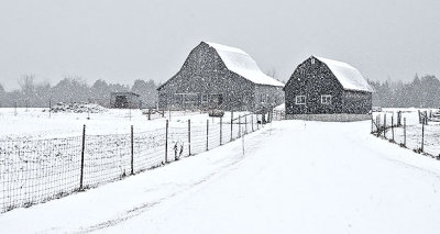 Barns In Spring Snowfall DSCN03756