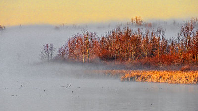 Foggy Irish Creek At Sunrise DSCN05400