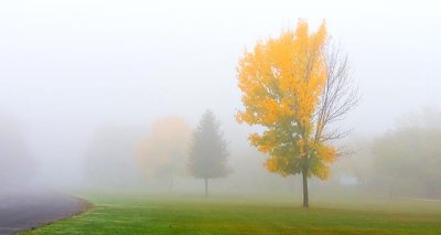 Foggy Fall Colors DSCN15917