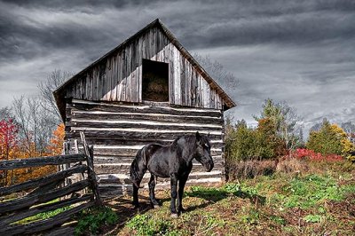 Old Log House & Farmstead Gallery