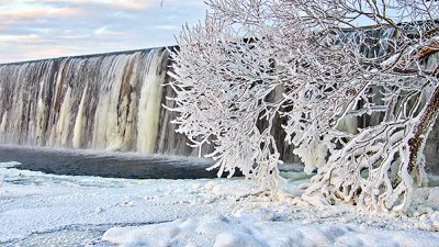 Frosted Tree Beside A Falls DSCN18222-4