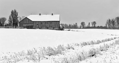 Winter Farmscape P1280794-6