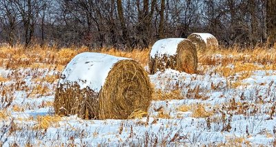 Snow-capped Bales DSCN19055