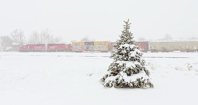Tree & Train In Snowstorm DSCN19113-4
