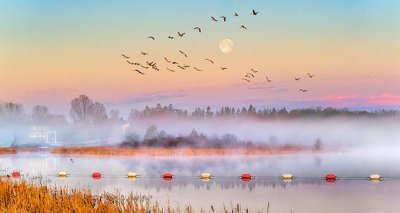 Moon & Geese Over Misty Kilmarnock P1300577-9