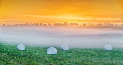 Four Bales In Foggy Sunrise P1310842-4