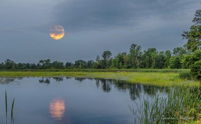 Clouded Moon Over Irish Creek P1320274-9