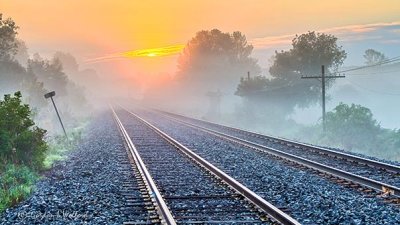 Railway Tracks Into Fog At Sunrise P1340245-9