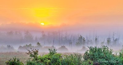 Sunrise Through Ground Fog P1330597-03