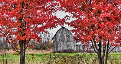 Autumn Barn P1020070-2