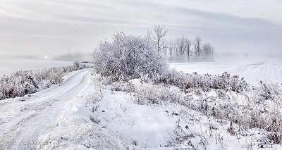 Frosty Landscape P1030500-2
