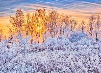 Frosty Sunrise P1030630-6