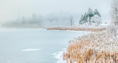 Freezing Fog Along Otter Creek P1030512-4