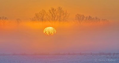 Sunrise Through Ground Fog P1360192-8