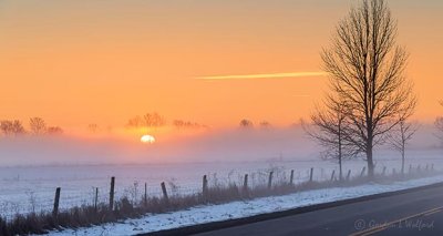 Sunrise Through Ground Fog P1360185-91