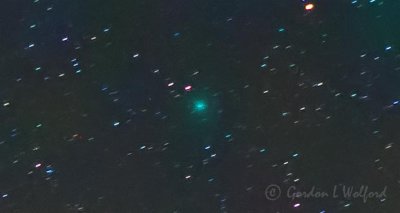Comet 46P/Wirtanen P1360567