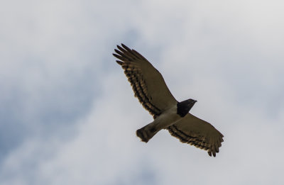 g10/75/534675/3/168119613.K4S6OkCp.jpg
