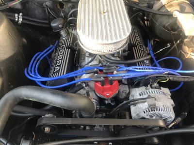 msd billet distributor