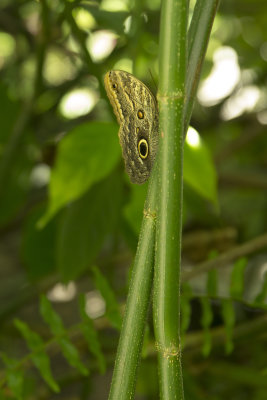 B68U9211.jpg
