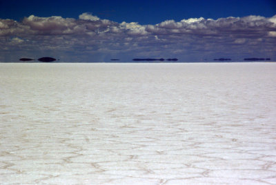 IMGP7993.JPG