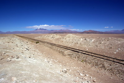 IMGP8316.JPG