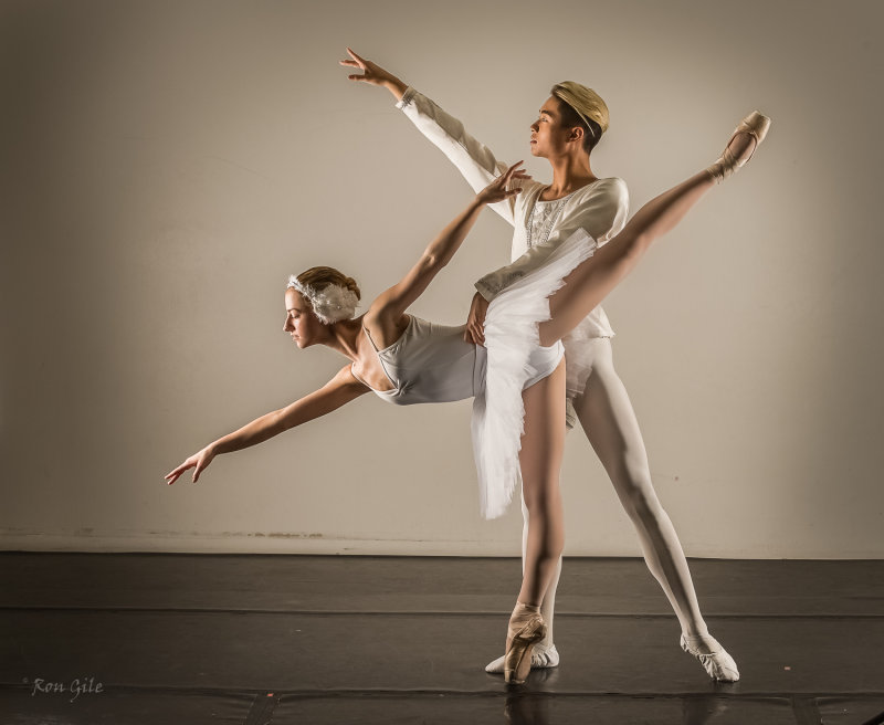 Swan lake 1-.jpg