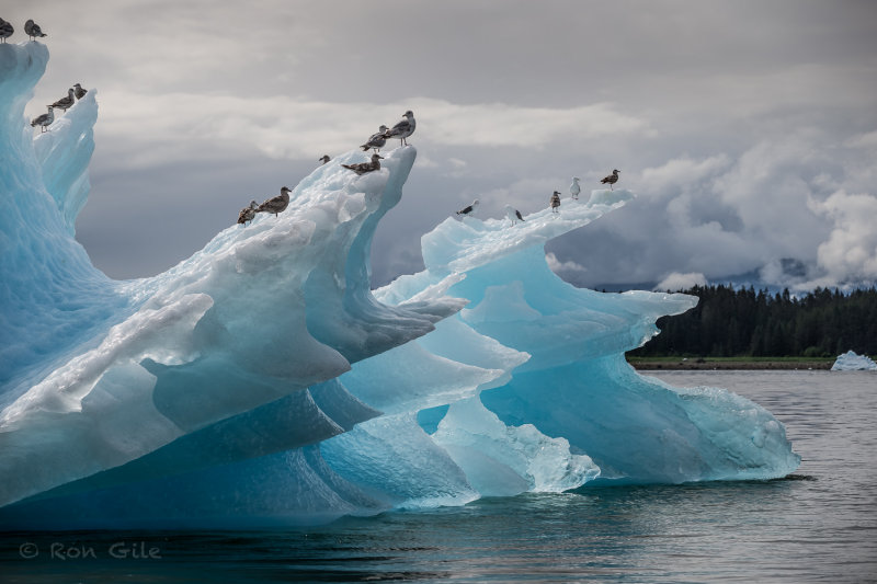 berg blue-9900.jpg