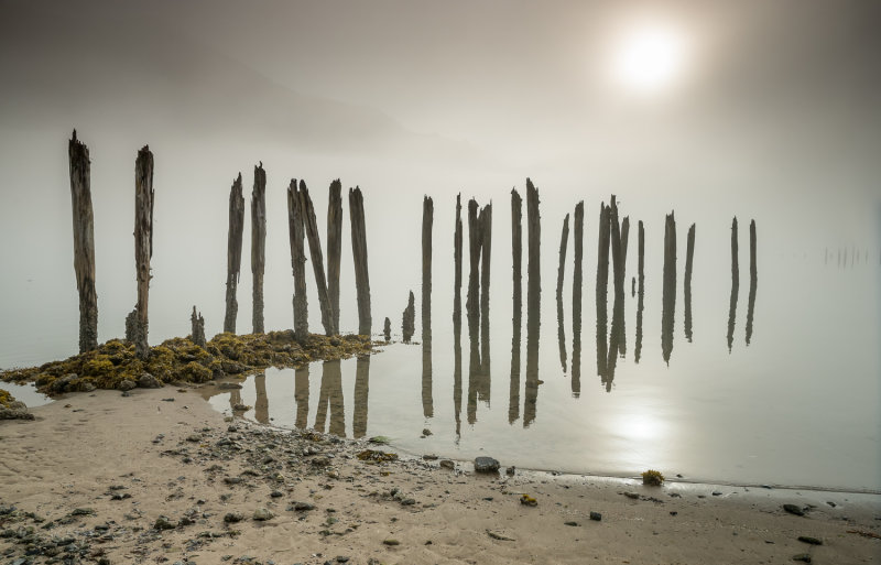 foggy morn sandy beach-3579.jpg