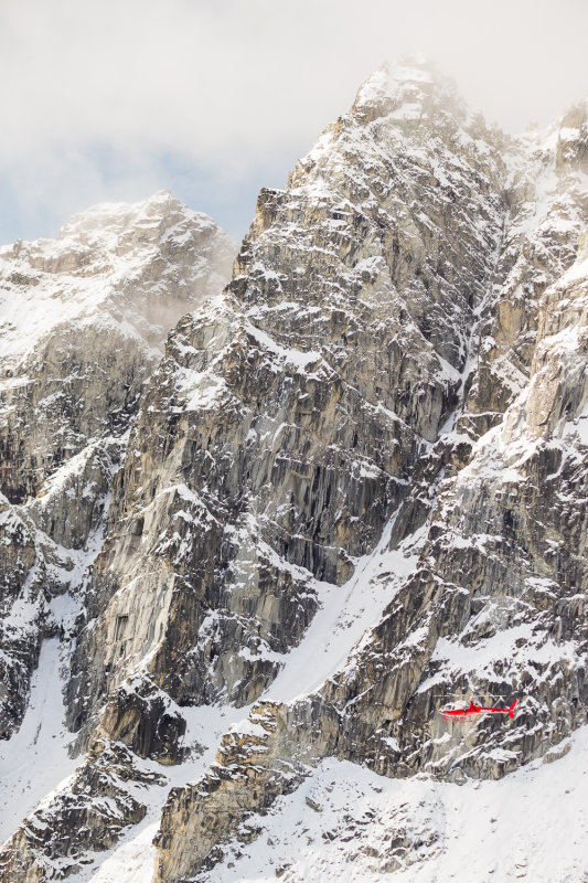 Denali_2018_2528.jpg