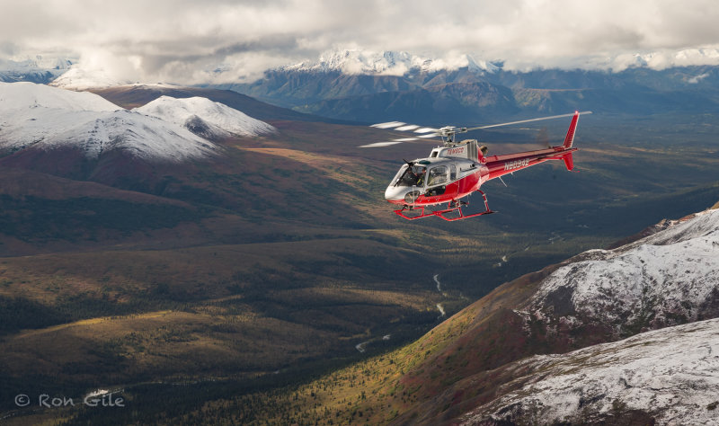 Denali_20181980.jpg