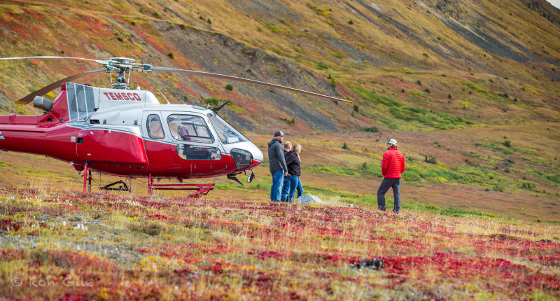 2_Tundra_6123.jpg