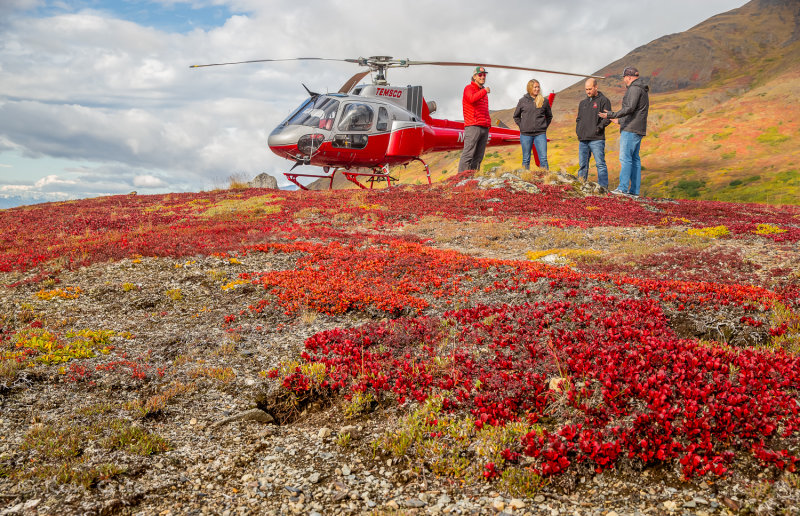 2_Tundra_5878.jpg