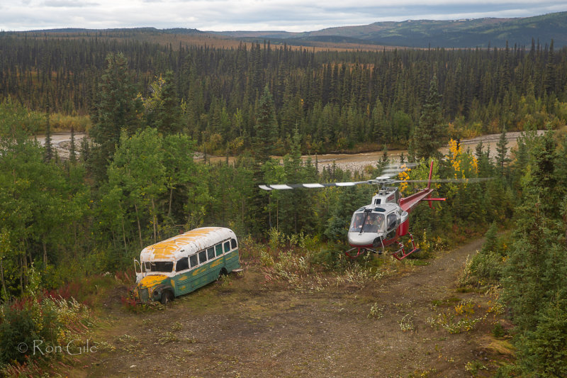 Bus_trip_good_5405_.jpg
