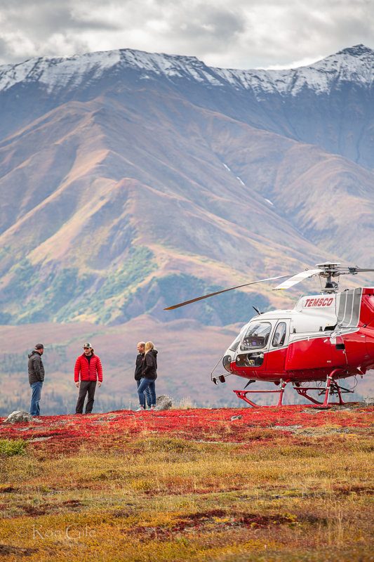 tundra_fair_6452.jpg