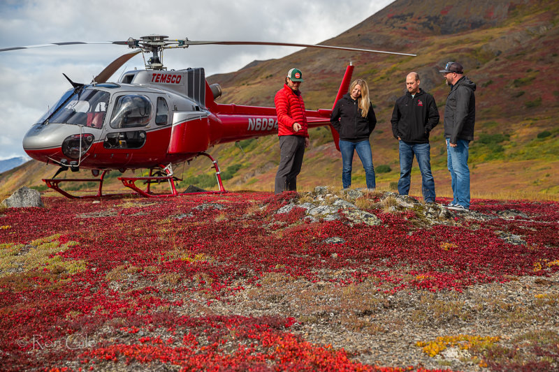 tundra_good_5821.jpg