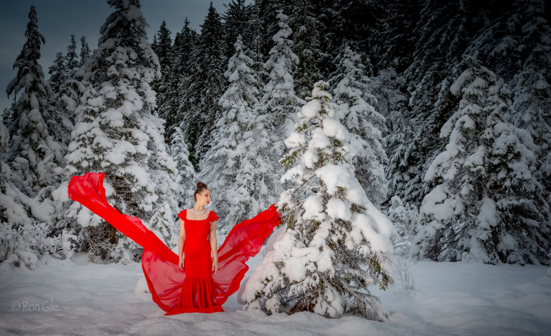 winter_red_2018_5802.jpg