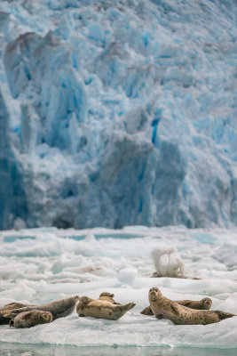 Chilling-0073.jpg
